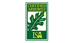 ISA Certified Arborist on Staff